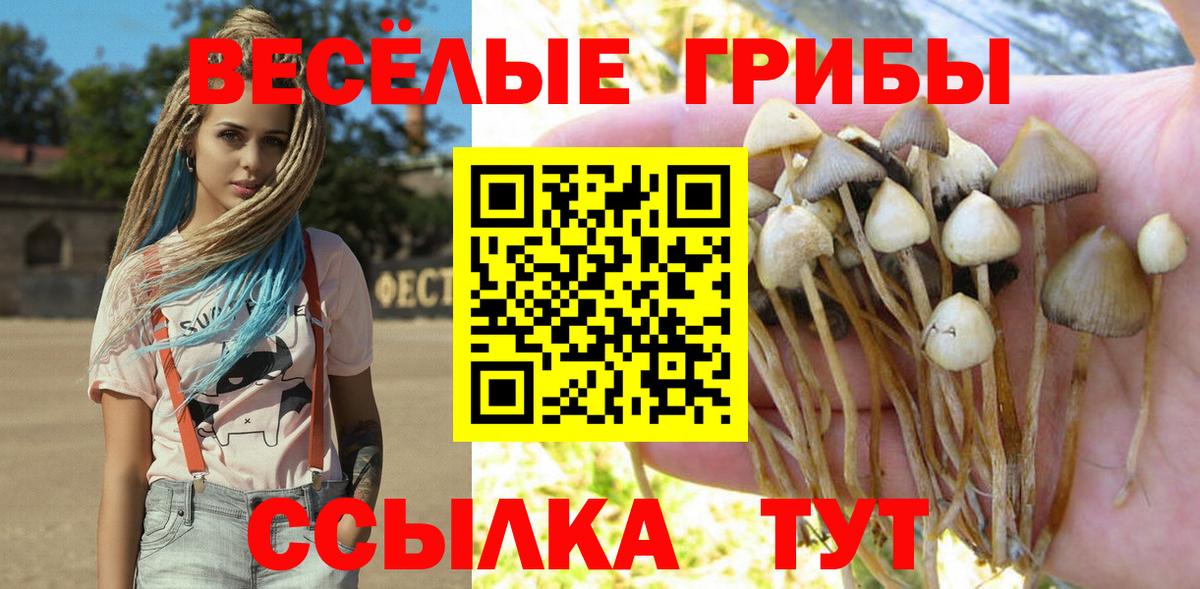 Псилоцибиновые грибы Magic Shrooms Тимашёвск